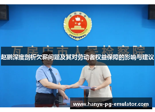 赵鹏深度剖析欠薪问题及其对劳动者权益保障的影响与建议 赵鹏深度剖析欠薪问题及其对劳动者权益保障的影响与建议