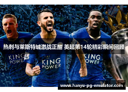 热刺与莱斯特城激战正酣 英超第14轮精彩瞬间回顾