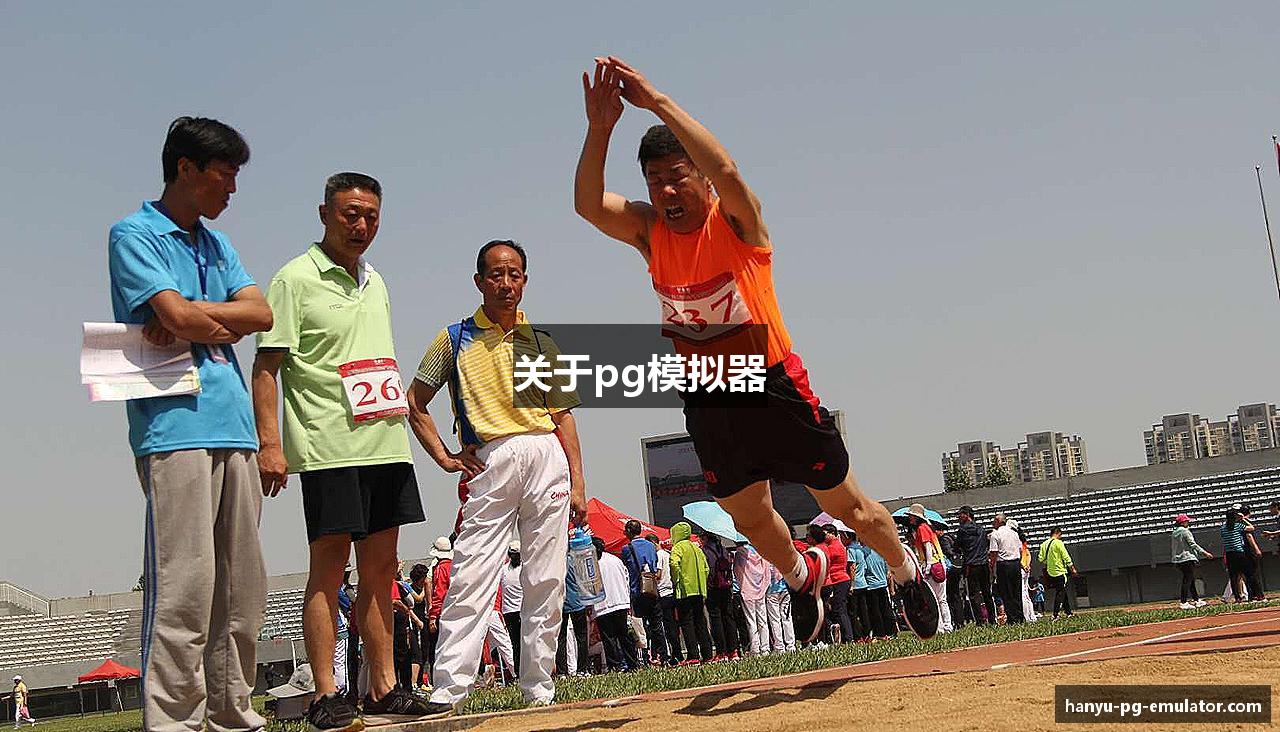 关于pg模拟器